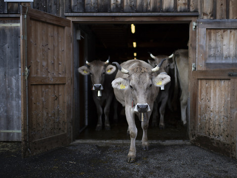 Subventions réduites pour plus de 7000 agriculteurs