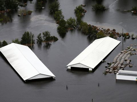 L'ouragan Florence a fait au moins 31 morts aux Etats-Unis