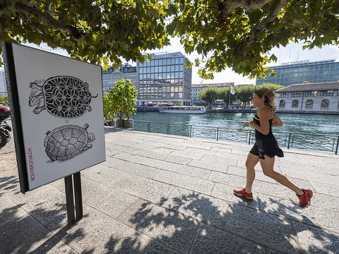 La Bibliothèque de Genève rend hommage à Nicolas Bouvier