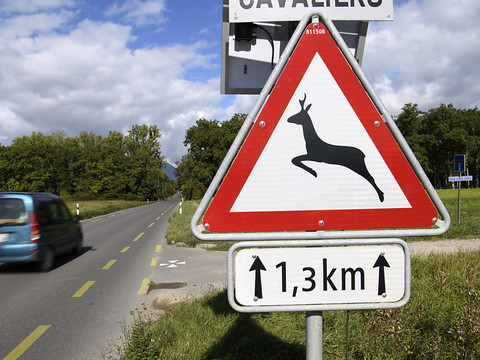 Vitesse réduite à 60 km/h sur la route de Sauverny (GE)