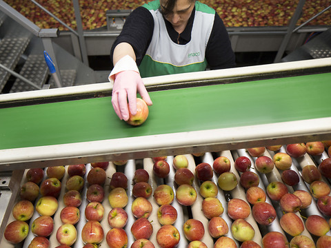 Il y a 25 ans naissait le groupe agricole bernois Fenaco