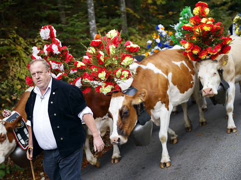 Toupins et bouquets pour la désalpe de Saint-Cergue (VD)