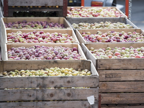 L'agriculture suisse portée par le vin et les fruits en 2018