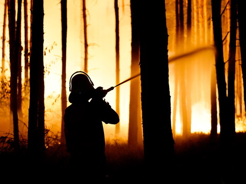 Les incendies en Europe s'aggraveront (étude)