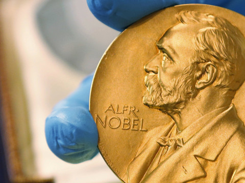 Le Nobel de chimie 2018 à un trio américano-britannique