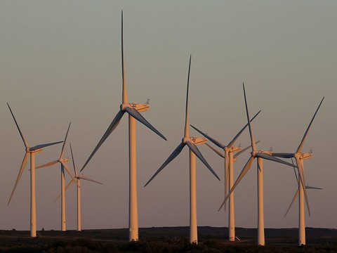 Le coût climatique des éoliennes n'est pas négligeable (étude)