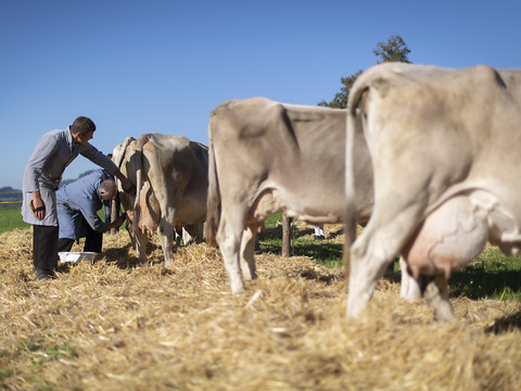 Economiesuisse veut revoir les subventions agricoles