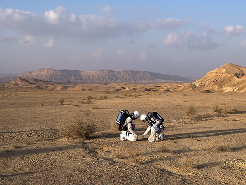 Des hormones végétales rendent envisageable l'agriculture spatiale