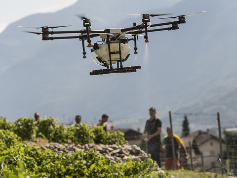 L'agriculture valaisanne sera plus respectueuse de l'environnement