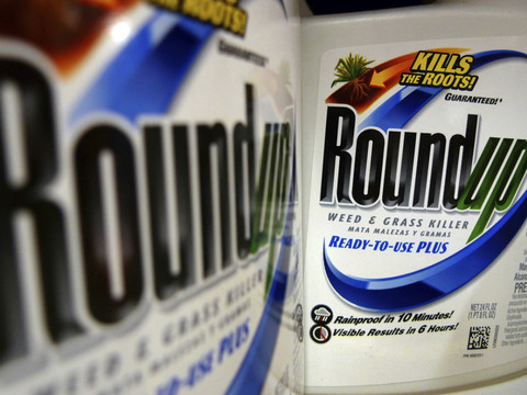 Procès du Roundup: l'appel de Monsanto rejeté, amende réduite