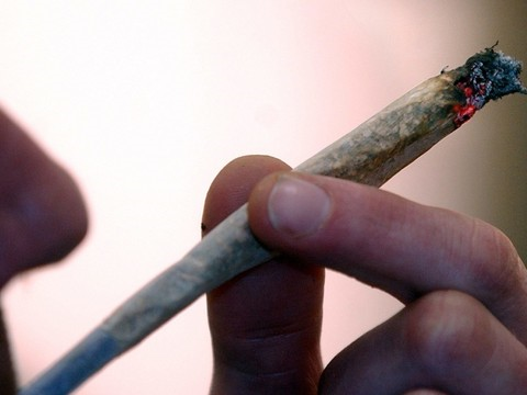 Les essais pilotes avec cannabis ne suscitent guère d'oppositions