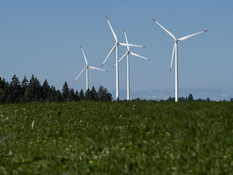 Trois nouveaux parcs pourraient voir le jour dans le canton du Jura