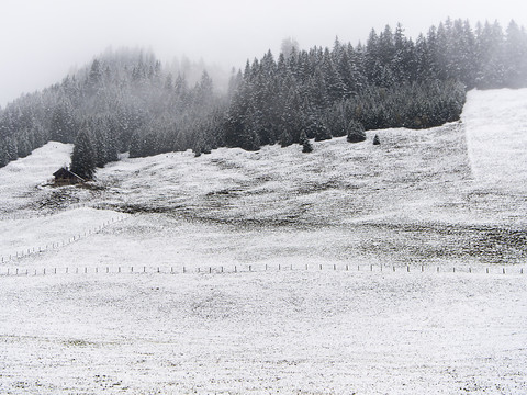 Neige et pluie abondantes s'abattent sur la Suisse