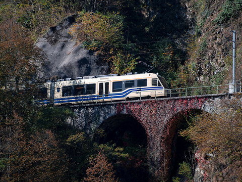 Trafic ferroviaire perturbé dans les Grisons et au Tessin par la tempête Vaia