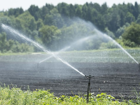 Troisième correction des eaux du Jura en discussion à Morat (FR)