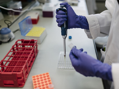 Le Conseil des Etats délie les cordons de la bourse