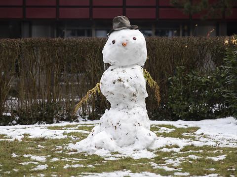 La neige recouvre très brièvement le Plateau