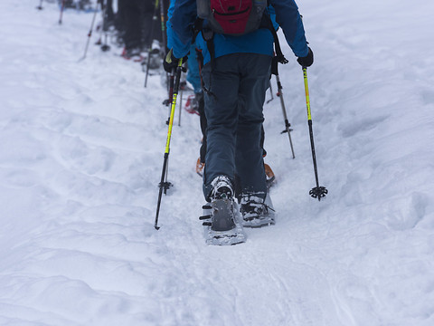 Randonner en raquettes à neige en respectant la faune