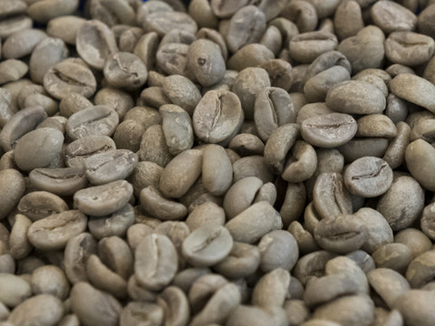 Nestlé investit dans une usine de café au Mexique