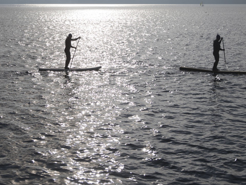 Le stand-up paddle dérange les oiseaux à grande distance