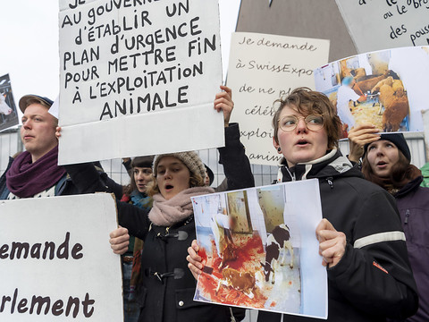 Antispécistes et barbecue gratuit sous l'oeil vigilant de la police