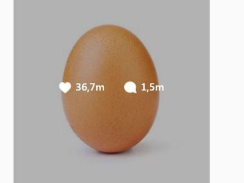 Une photo d'oeuf bat le record de 