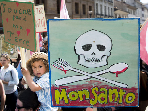 Glyphosate: la justice française annule l'autorisation de mise sur le marché du Roundup Pro 360