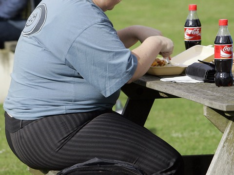 Obésité, sous-alimentation, climat: trois maux pour une même menace