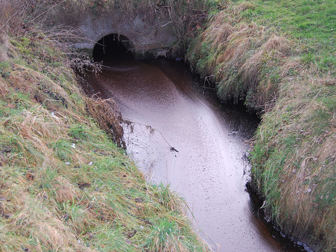 Ruisseau pollué à Malters (LU) par un mélange de matières grasses