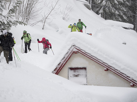 Un mois de janvier contrasté au Nord et au Sud des Alpes