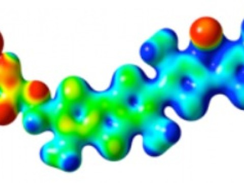 Mesurer les forces physiques en action dans les cellules vivantes
