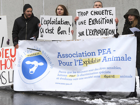 Abattoir de Martigny dans le collimateur de l'association PEA