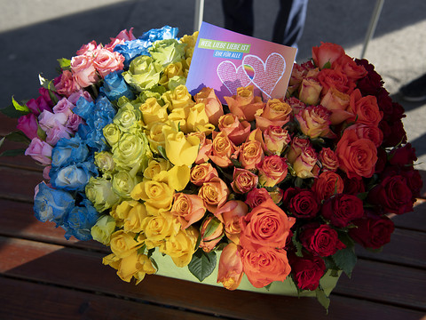 Le mariage pour tous devrait d'abord se limiter aux points centraux