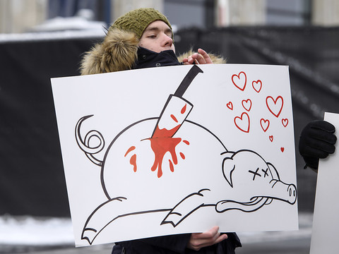 6400 signatures pour la fermeture de l'abattoir de Martigny