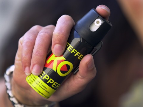 Jours-amende pour avoir giclé des chiens avec un spray au poivre