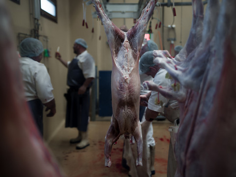 Le vétérinaire cantonal dénonce l'abattoir de Martigny (VS)