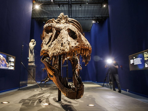 L'extinction des dinosaures causée par un astéroïde et des volcans