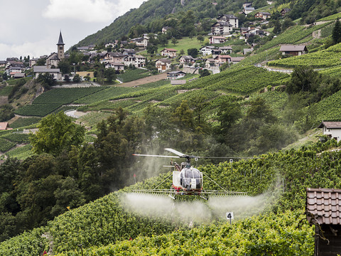 Les pesticides sont un 