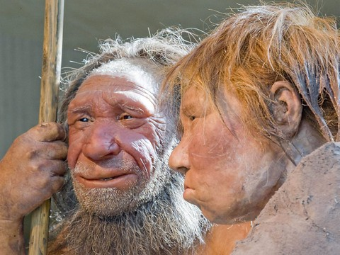 L'homme de Néandertal pas si éloigné de l'homme moderne
