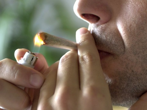 Le Parlement peut trancher sur la distribution de cannabis