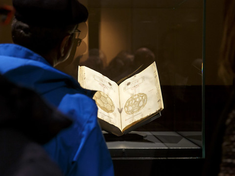 Des dessins de Léonard de Vinci dévoilés au public genevois