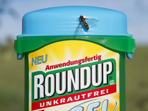 Procès Roundup: Monsanto condamné à payer près de 81 millions
