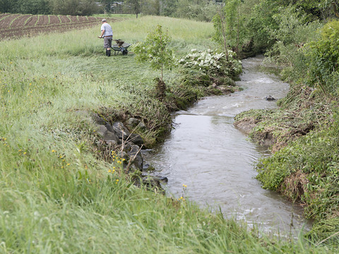 Les pesticides sont toujours trop nombreux dans les ruisseaux