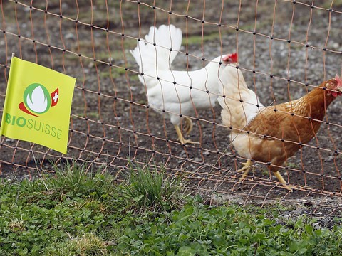 Le bio séduit de plus en plus les Suisses romands