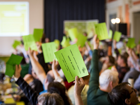 Les délégués verts favorables à la réforme de la loi sur les armes.