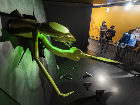 La prédation en question au Muséum d'histoire naturelle de Genève