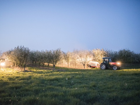 Procédures d'autorisation de pesticides annulées après des recours