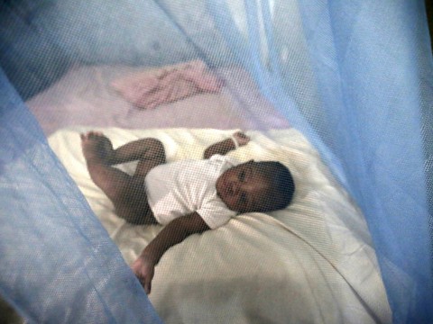 Premier test à grande échelle d'un vaccin contre le paludisme