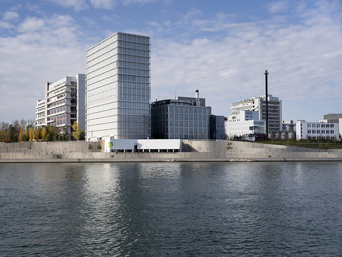Novartis dépasse les 11 milliards de ventes au 1er trimestre
