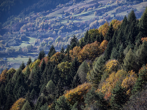 Les Suisses ont épuisé leurs ressources naturelles pour 2019